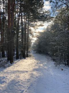 Domek nad rzeką - Wierzchlas - 3