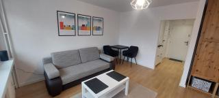 Apartament Koszutka - 100m od Spodka - Katowice - 8