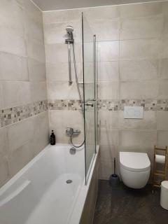 Beautiful Apartment at Geneva Airport - Ferney-Voltaire - 3