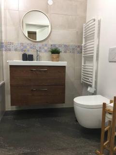 Beautiful Apartment at Geneva Airport - Ferney-Voltaire - 4