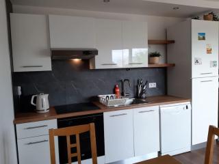 Beautiful Apartment at Geneva Airport - Ferney-Voltaire - 5