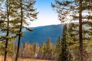 Experience Montana Cabins - Bear's Den #4 - Bigfork - 4