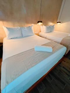 Arena Apartment 2 - Isola Holbox - 6