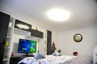 Garsoniera Trotuș Comănești - Comăneşti - 5