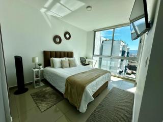New Luxury Apartment Downtown San Jose - 0