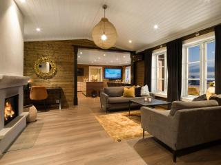 Løvsangeren 1,5 hour from Oslo - 6 bedrooms - 14 sleeps - Sauna - Nordset - 2