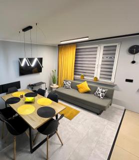 Apartament Na Wspólnej - Sosnowiec - 8