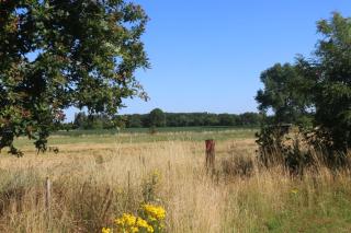 Gastenlogies Blauwe Schaap - Ranst - 2