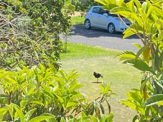 Tui by the Beach - 3