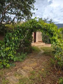 casinha terra - 8