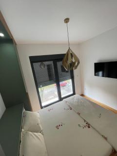 Apartment in Vila dr Milovan - 1