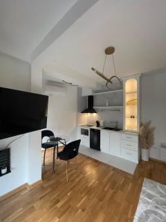 Apartment in Vila dr Milovan - 5