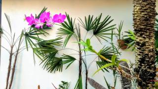 Suítes a 50 metros da Rua das Pedras - 1