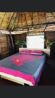 Fare Hau Camp - Patio - 1