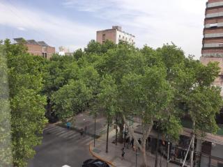 Departamento Alem y San Martin - Mendoza - 1