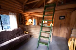 Experience Montana Cabins - Wildflower #3 - Bigfork - 0