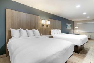 Best Western PLUS Edinburg Inn & Suites - Edinburg - 6