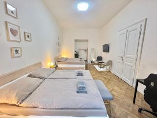 Spacious 2BDR apartment with free parking in Wenceslas Square - Praga - 5