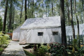 Luxury Deck Cabin - 9