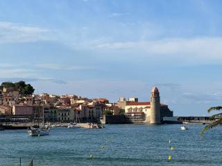 Appartement T2 à 50m de la plage à Collioure - FR-1-309-407 - Collioure - 9