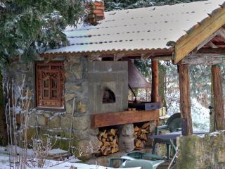 Gîte chaleureux avec cheminée, jardin et four à pain, idéal pour des vacances paisibles en nature - FR-1-496-57 - Marlhes - 6