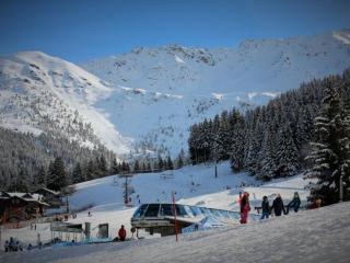 Studio cosy au pied des pistes avec balcon, TV et casier à ski - FR-1-771-63 - 8