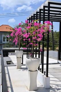 Fortune Villa : 525m2 5 bedrooms Private Pool - 7