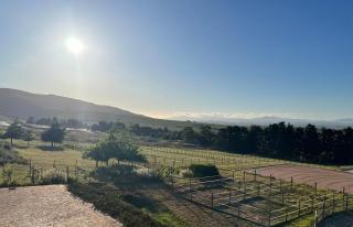 World of Horses Stables - Stellenbosch - 2