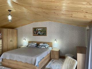 APARTAMENT ,,IRINA'' - Tsqaltubo - 1