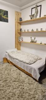 Luxury Flat Nicol - Valea Adîncă - 1