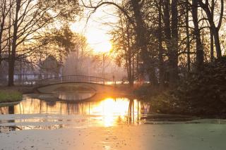 Landgoed Oud Poelgeest - Leiden - Oegstgeest - 8