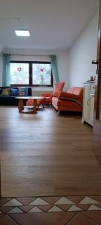 Apartment with panoramic views in the black forest - Gernsbach - 8