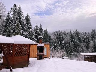 Belvedere-Karpaty - Skhidnitsa - 5