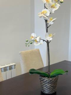 VICTORIA 32 SUITE - 9