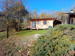 maison dans un écrin de verdure - Saint-Léon-sur-Vézère - 8