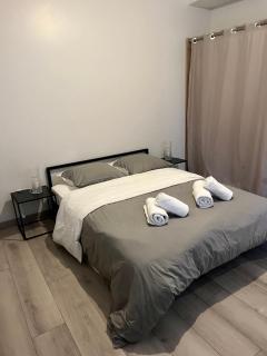 Appartement gare RER D maisons alfort Alfortville - Alfortville - 4