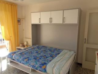 Appartement tout équipé au Lavandou avec TV et lave-vaisselle - FR-1-308-105 - Le Lavandou - 2