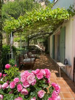 Les Dentelles - Beaumes-de-Venise - 4
