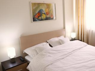 Mina City Center Apartment Amzei - 1