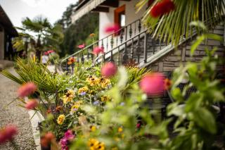 Residence Obermoarhof - Family Apartments with Pool & Playground - Vandoies - 2