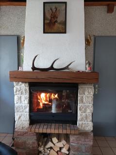 Chaleureux gîte des brocards aux pieds des sapins 3 étoiles - 1