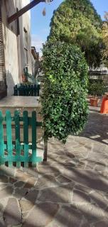 B&B La Camelia - Case Pieve al Toppo - 8