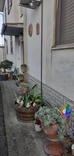 B&B La Camelia - Case Pieve al Toppo - 6