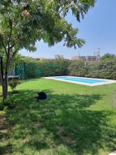 LA MULATA - Mendoza - 6