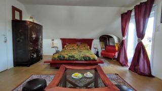 Maison d'hôte privatisée avec piscine et jacuzzis 15 pers max - La Couture-Boussey - 3