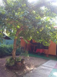 Kawanthissapura Resort - Kohombagahapelessa - 4