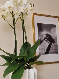 Guest House Canalis 17 - Oristano - 4