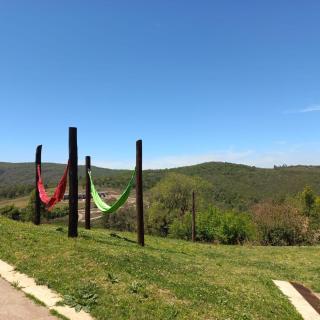 Verde Encanto - 8