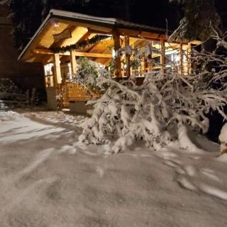 Holiday Home Tirol - Vlasic - 2