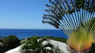 Villa CHANTEVENT - vue mer et piscine - Deshaies - 6